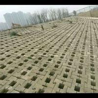 山东植草砖的样式 山东植草砖的样式
